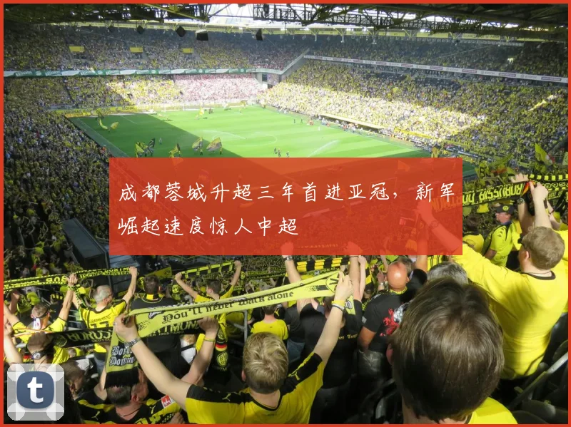 成都蓉城升超三年首进亚冠，新军崛起速度惊人中超
